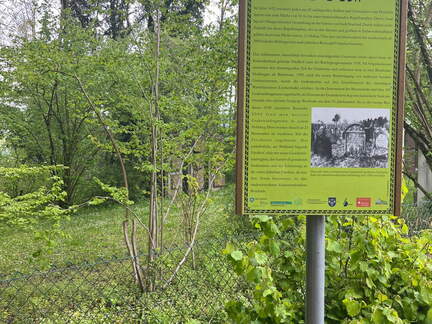 22-04-25 11-56-47 0623